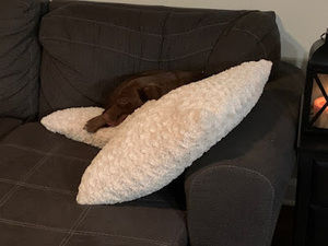 Meet your Posher, Torrey